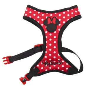 ARNES - MINNIE